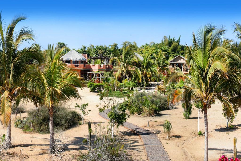 Flora Del Mar Hotel Todos Santos Exterior photo